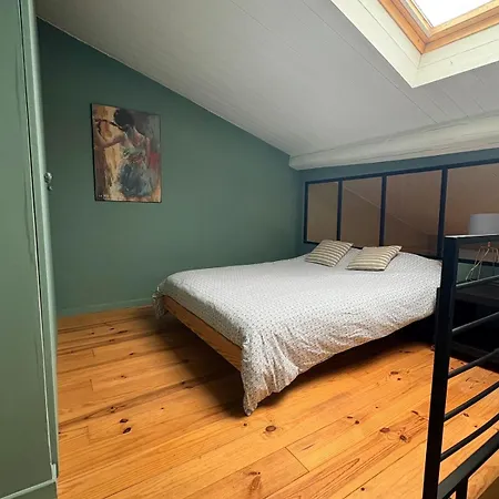 Vue, Charme, Calme Duplex Cosy A 10 Min De Lyon Апартаменты Сен-Сир-О-Мон-д'Ор