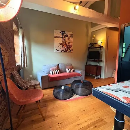 Апартаменты Vue, Charme, Calme Duplex Cosy A 10 Min De Lyon Сен-Сир-О-Мон-д'Ор
