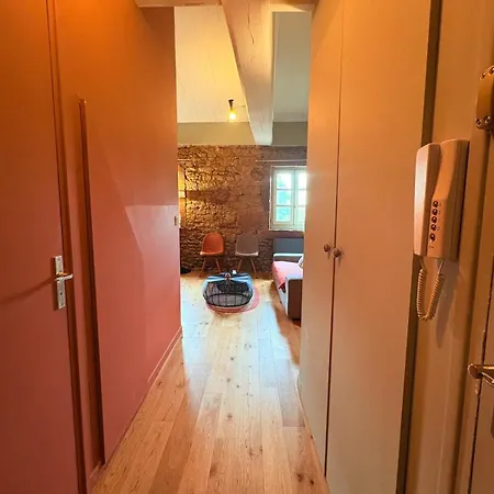 Vue, Charme, Calme Duplex Cosy A 10 Min De Lyon Сен-Сир-О-Мон-д'Ор