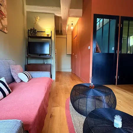 Vue, Charme, Calme Duplex Cosy A 10 Min De Lyon Апартаменты *